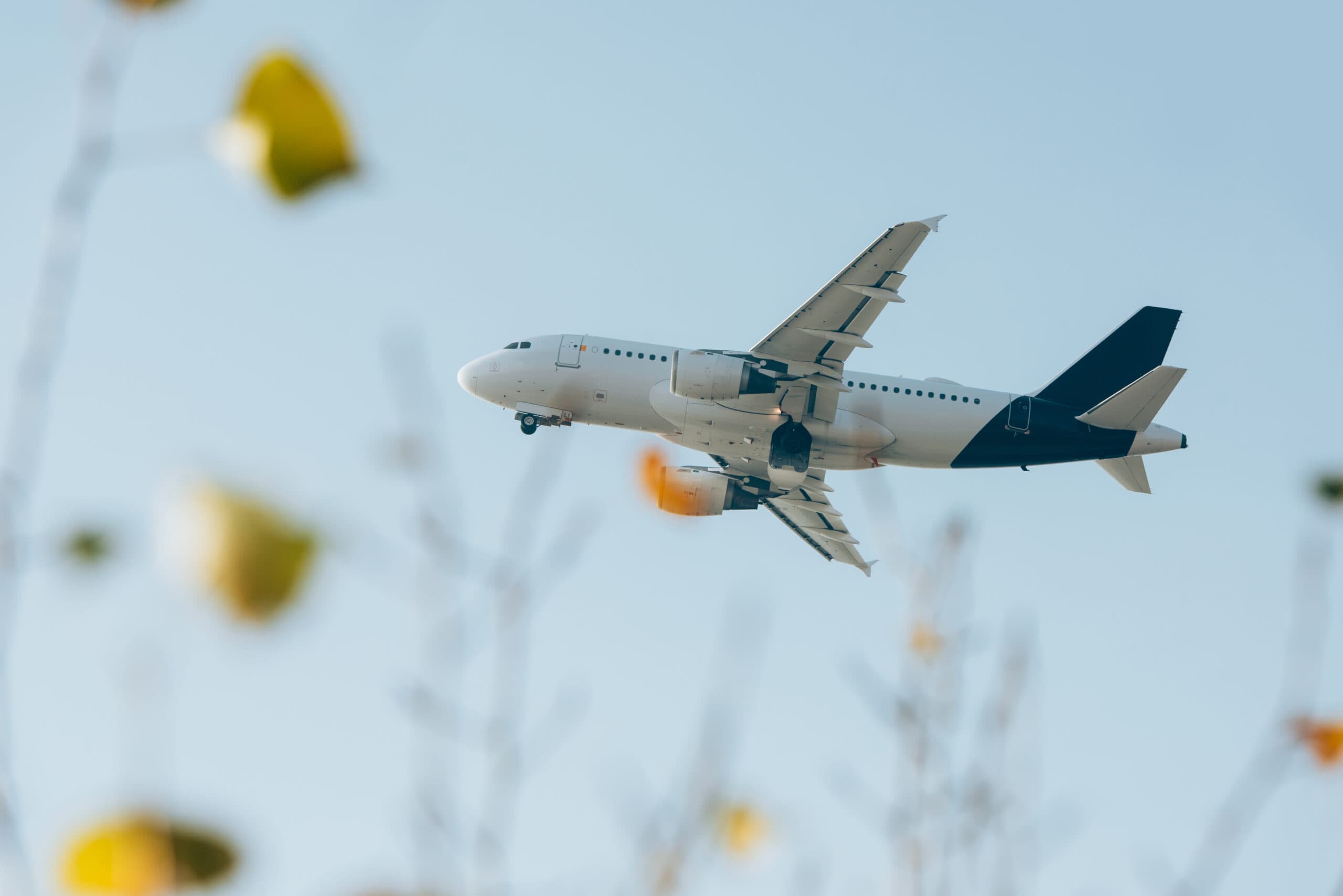 Commercial airplane flying through a bright blue sky.